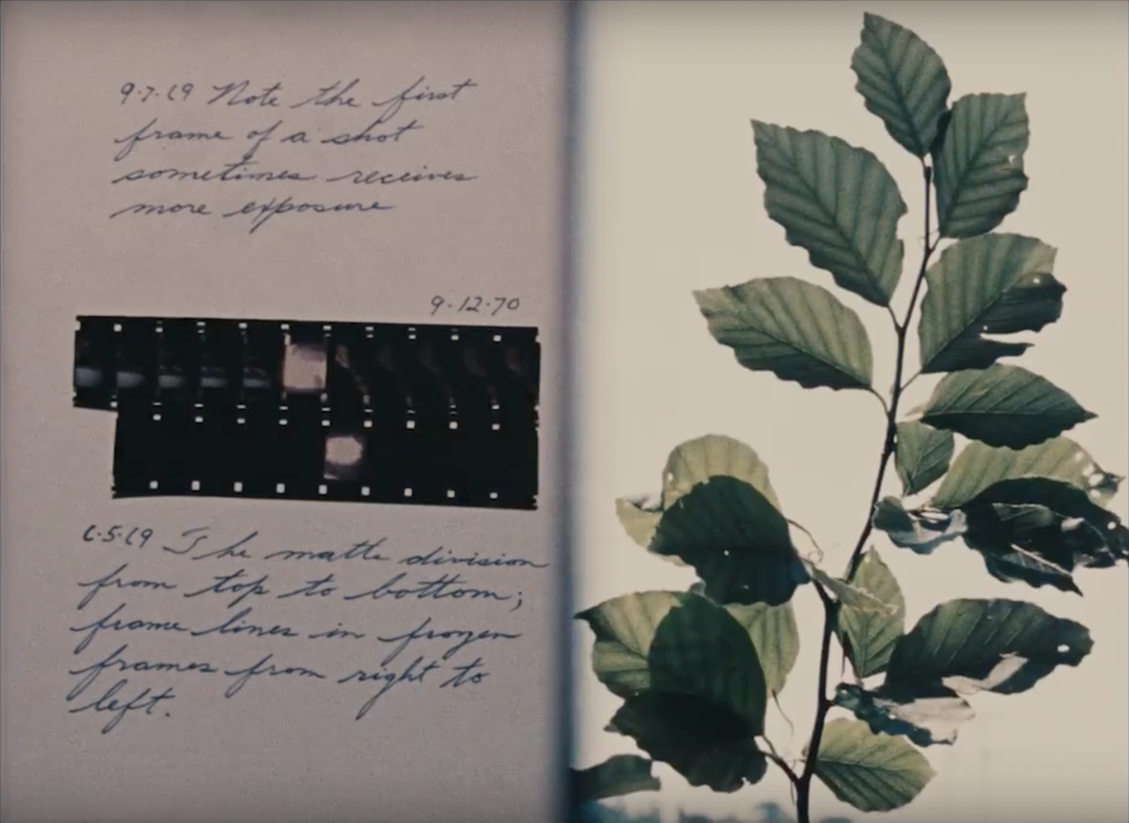 From the notebook of... (1971)
