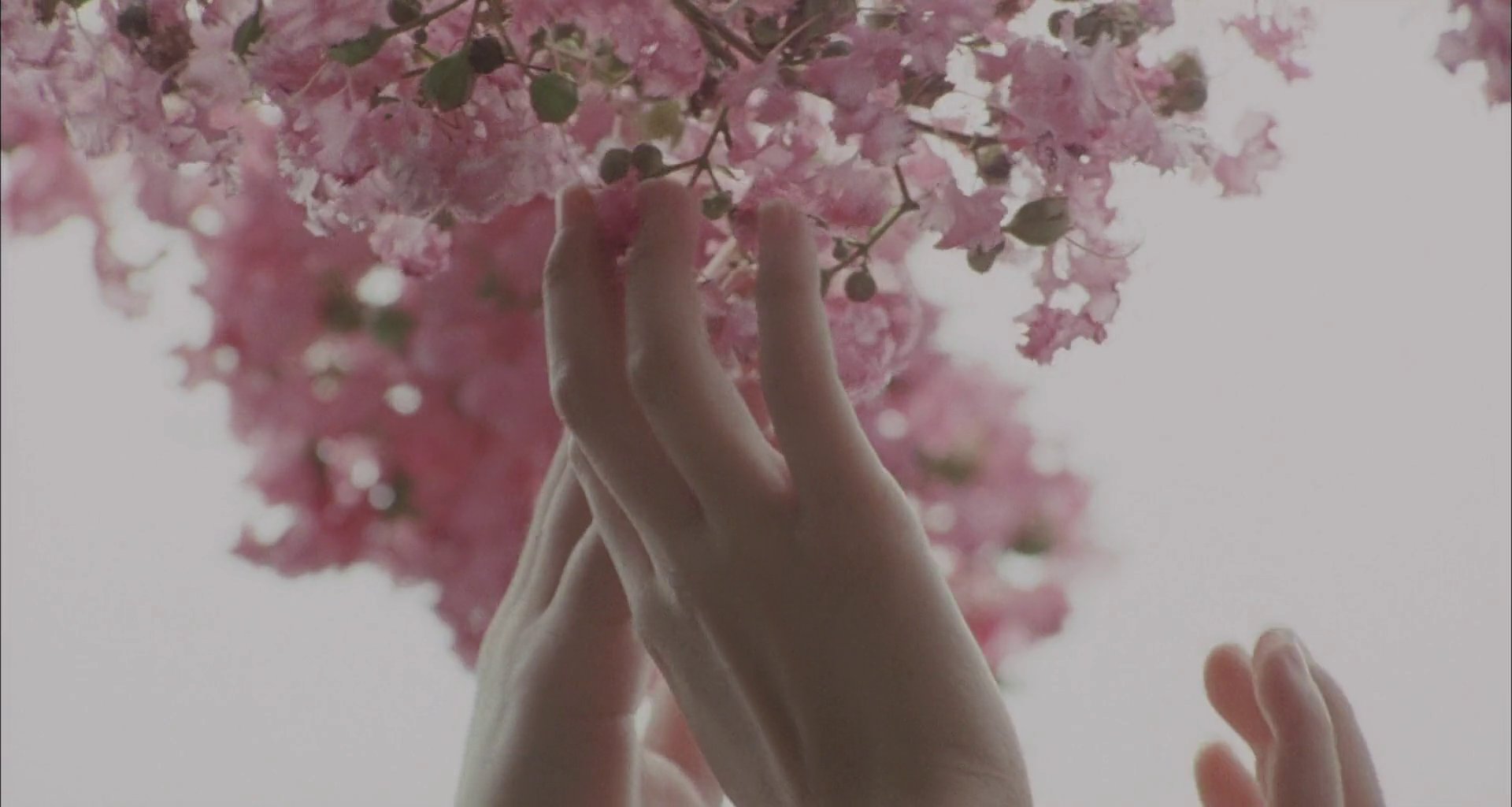 Still walking (2008)