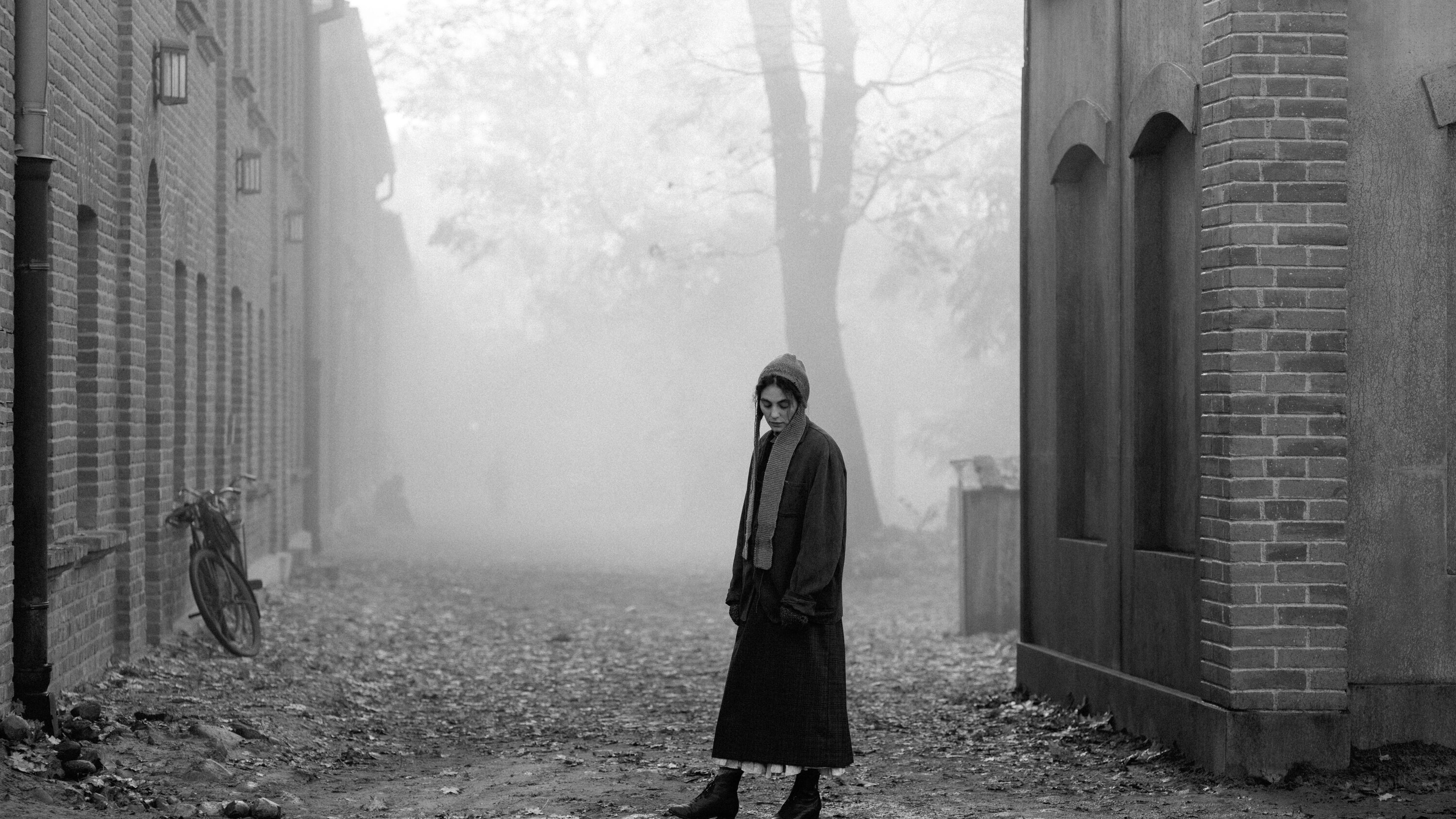 Girl with the needle (2024)