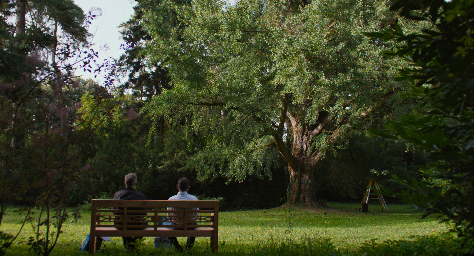 Silent friend (2025)