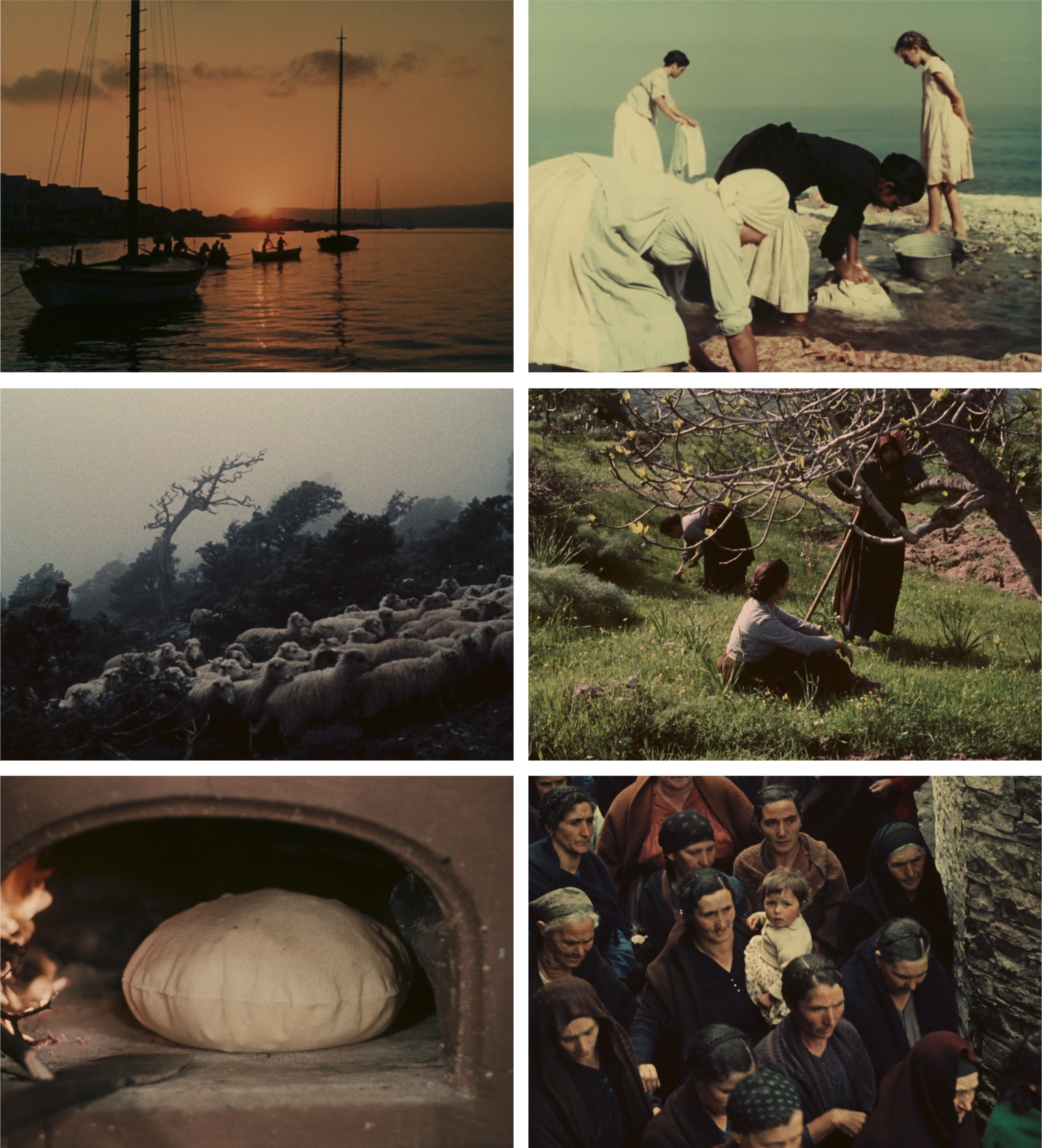 Documentary shorts by Vittorio De Seta.