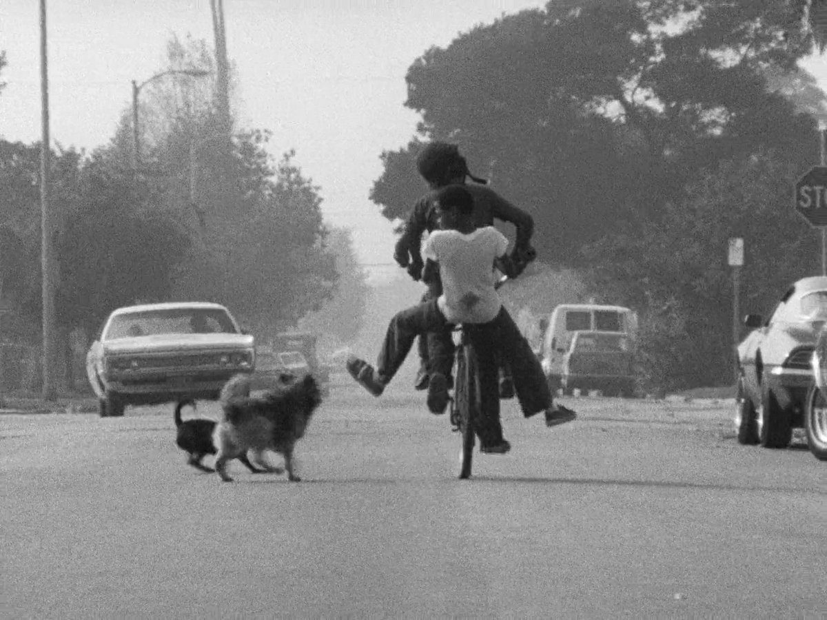 Killer of sheep (1978)
