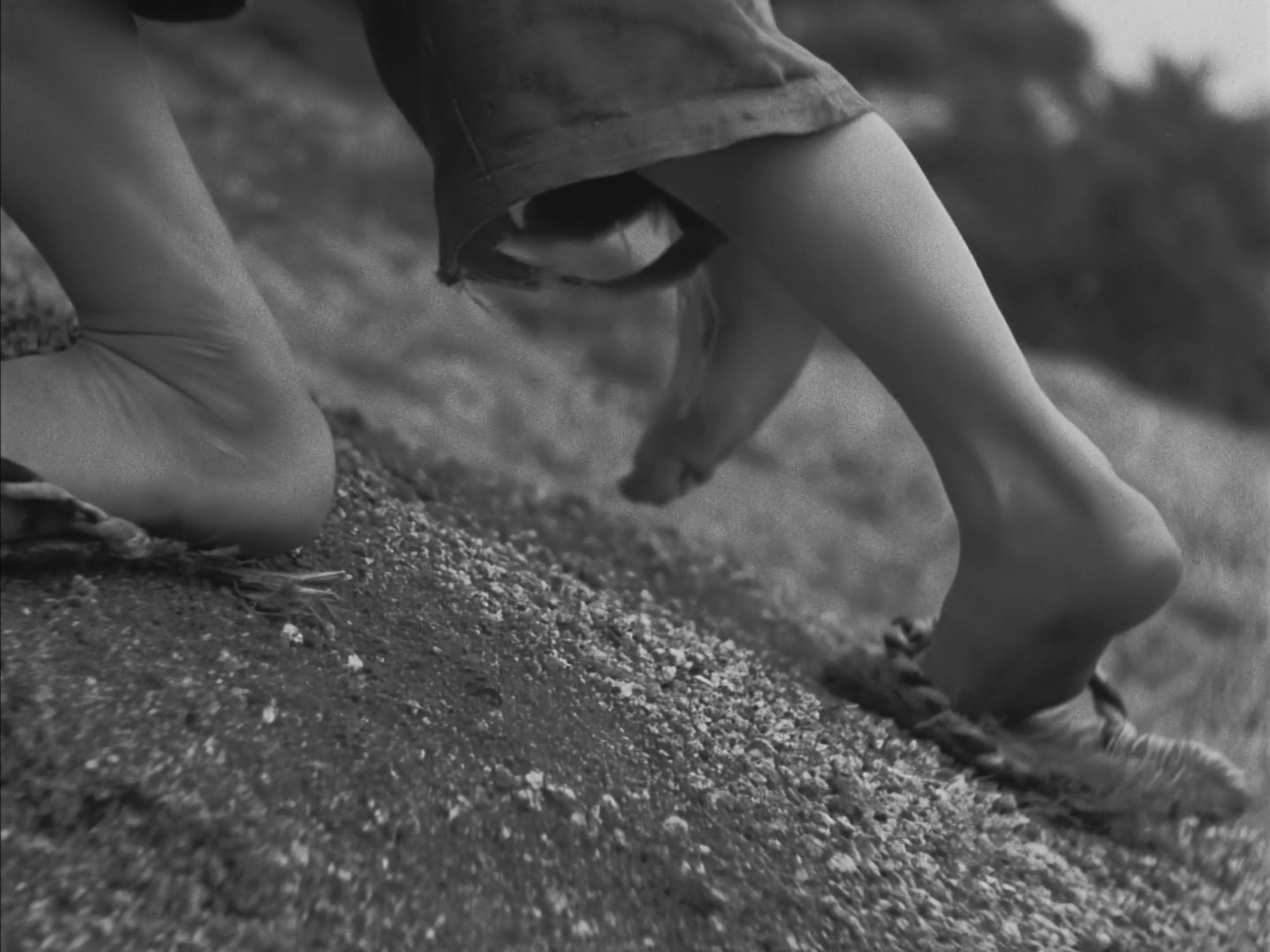 Children of the beehive (1948)