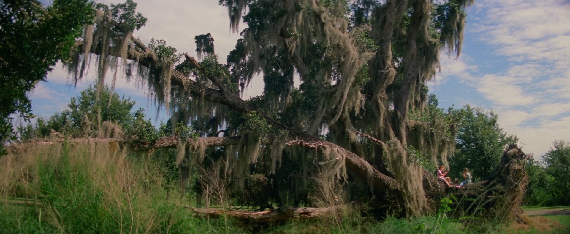 The Florida Project (2017)